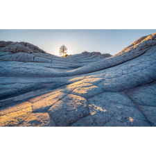 Komar Elephant Skin fátyoltapéta 400 cm x 250 cm tapéta, díszléc és más dekoráció