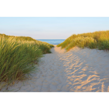 Komar fotótapéta Sandy Path 368 cm x 254 cm FSC tapéta, díszléc és más dekoráció