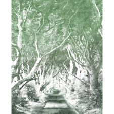 Komar nemszőtt fotótapéta Alley Graphite 200 cm x 250 cm tapéta, díszléc és más dekoráció