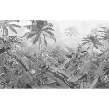 Komar nemszőtt fotótapéta Amazonia Black and White 400 cm x 250 cm tapéta, díszléc és más dekoráció