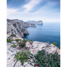 Komar nemszőtt fotótapéta Bizarre Coast 200 cm x 250 cm tapéta, díszléc és más dekoráció