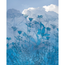 Komar nemszőtt fotótapéta Blue Sky 200 cm x 250 cm tapéta, díszléc és más dekoráció