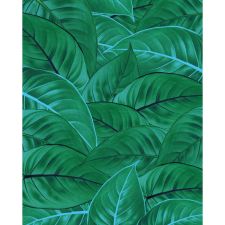 Komar nemszőtt fotótapéta Jungle Leaves 200 cm x 250 cm tapéta, díszléc és más dekoráció