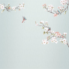Komar vlies fotótapéta Apple Bloom 250 cm x 250 cm tapéta, díszléc és más dekoráció