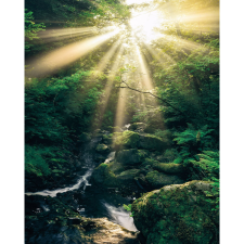 Komar vlies fotótapéta Divine 200 cm x 250 cm tapéta, díszléc és más dekoráció