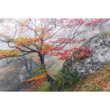 Komar vlies fotótapéta Euphoria 300 cm x 200 cm tapéta, díszléc és más dekoráció