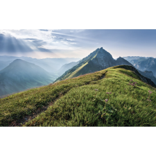 Komar vlies fotótapéta Green Vein 400 cm x 250 cm tapéta, díszléc és más dekoráció