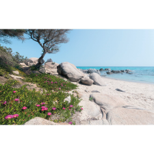 Komar Vlies fotótapéta Mediterrane Träume 450 cm x 280 cm tapéta, díszléc és más dekoráció