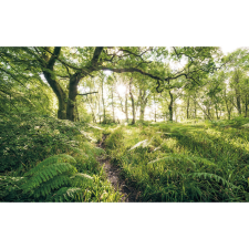 Komar vlies fotótapéta Mystic Path 400 cm x 250 cm tapéta, díszléc és más dekoráció