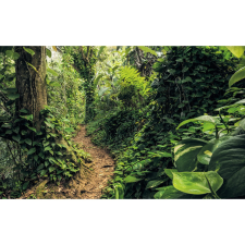 Komar vlies fotótapéta Path of Dreams 400 cm x 250 cm tapéta, díszléc és más dekoráció