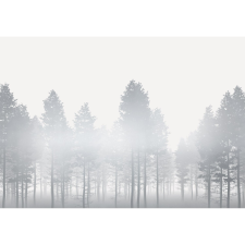 Komar vlies fotótapéta Silver Haze 400 cm x 280 cm tapéta, díszléc és más dekoráció