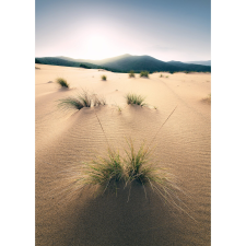Komar Vlies fotótapéta Vivid Dunes 200 cm x 280 cm tapéta, díszléc és más dekoráció