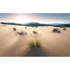 Komar Vlies fotótapéta Vivid Dunes 450 cm x 280 cm tapéta, díszléc és más dekoráció
