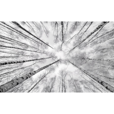 Komar Vlies fotótapéta Weiss-Blau 450 cm x 280 cm tapéta, díszléc és más dekoráció