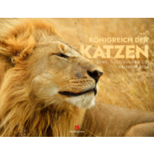 Königreich der Katzen Kalender 2026 – Ackermann Kunstverlag GmbH naptár, kalendárium
