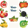  Konyhai csempematrica  gyümölcs kollekció 8db/szett15x15cm
