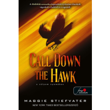 Könyvmolyképző Call Down the Hawk - A sólyom nyomában - Álmodók-trilógia 1. gyermek- és ifjúsági könyv