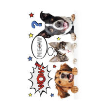 KORREKT WEB Állatos Furry Friends A/4 gumis mappa mappa