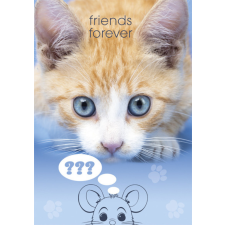 KORREKT WEB Cicás Friends Forever A/4 gumis mappa mappa