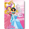 KORREKT WEB Disney hercegnők polár takaró (princess)