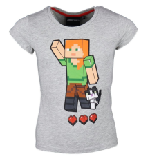 KORREKT WEB Minecraft gyerek rövid póló, felső 6 év