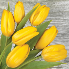 KORREKT WEB Sárga tulipán On Wood szalvéta 20 db-os 33x33 cm papírárú, csomagoló és tárolóeszköz
