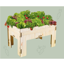 Kosmos Első farmom kísérleti készlet oktatójáték