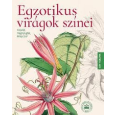 Kossuth Kiadó Egzotikus virágok színei hobbi, szabadidő