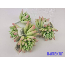  Kövirózsa gumis pozsgás 8 cm - Hamvas dekorációs kellék