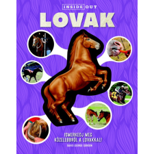 Kreatív Kiadó Lovak - Ismerkedj meg közelebbről a lovakkal! gyermek- és ifjúsági könyv