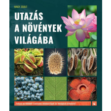 Kreatív Kiadó Nagy Zsolt - Utazás a növények világába gyermek- és ifjúsági könyv