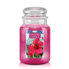 Kringle Candle Country Candle Hibiscus nagy 2 kanócos illatgyertya (652 g), gyertya
