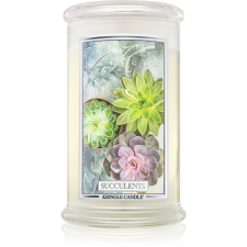 Kringle Candle Succulents illatgyertya 624 g gyertya