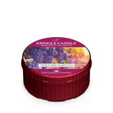 Kringle Candle Vineyard Harvest illatgyertya (42g), gyertya