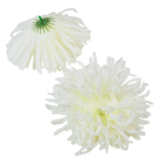  Krizantém virágfej krém D15cm 6db/csom dekorációs kellék