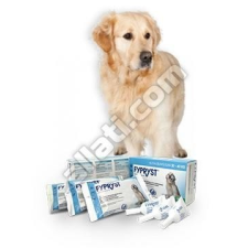 Krka Fypryst 2,68 ml (20-40kg) kutya 1 pipetta élősködő elleni készítmény kutyáknak