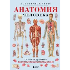 Эксмо Анатомия человека. Популярный атлас. Самые подробные анатомические изображения egyéb könyv