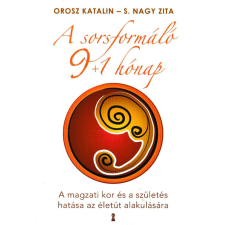 Kulcslyuk A sorsformáló 9+1 hónap antikvárium - használt könyv