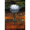 Kurucz Gyula LÉGGÖMBHUSZÁROK