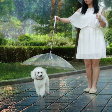  Kutya esernyő pórázzal kutyafelszerelés