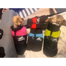  Kutyaruha - Adidog mellény pórázakasztóval - S-5XL - 3XL - zöld kutyaruha