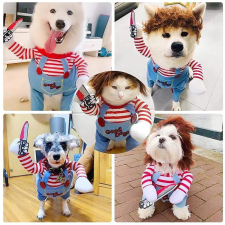  Kutyaruha - Chucky babás kutyajelmez - M kutyaruha