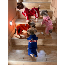  Kutyaruha - Egyberészes overál - overall - kutyamelegítő szett - többféle színben - S - narancs kutyaruha