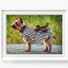  Kutyaruha - Elegáns, csíkos tüllszoknyás ruha fekete-fehér színben, barna masnival - XS kutyaruha