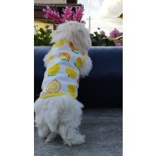  Kutyaruha - Fehér pamut trikó citrom mintával - XS kutyaruha