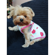  Kutyaruha - Fehér pamut trikó eper mintával - L kutyaruha