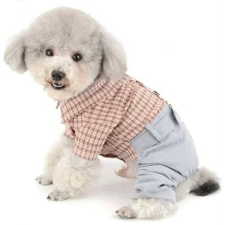  Kutyaruha - Gallèros overál - L kutyaruha