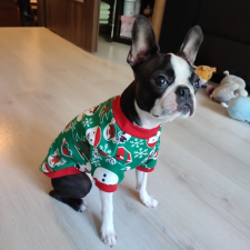  Kutyaruha - Karácsonyi Pulóver - 2 választható szín. - M - lila kutyaruha