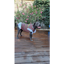  Kutyaruha - Könnyed ruha, színes csíkokkal, fodros gallérral és aljjal - Nagy kutyáknak! - 3XL kutyaruha