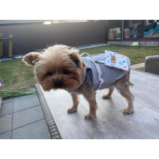  Kutyaruha - Könnyű, hálós anyagú trikó, hátul stílusos kistáskával - ezüst színben - 2XL kutyaruha